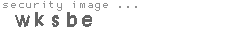 security image