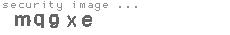 security image