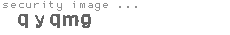 security image