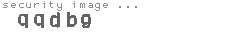 security image