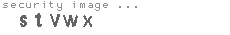 security image