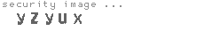 security image