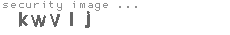 security image