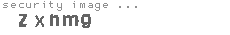 security image