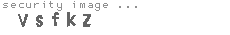 security image