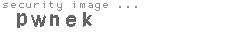 security image