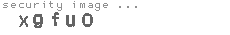 security image