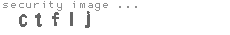 security image