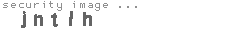 security image