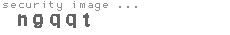 security image