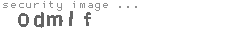 security image