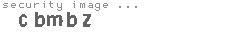 security image