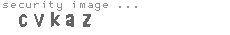 security image