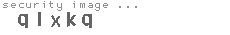 security image