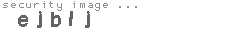 security image