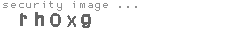 security image