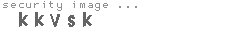 security image