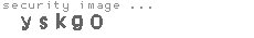 security image