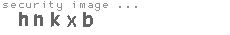 security image