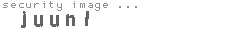security image