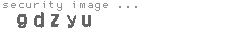 security image