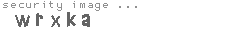 security image