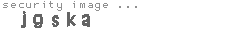 security image
