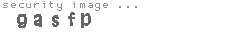 security image