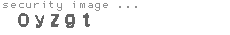 security image