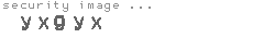 security image
