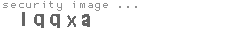 security image