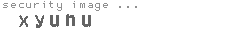 security image