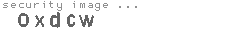 security image