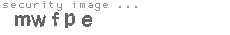 security image