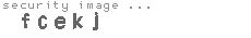 security image