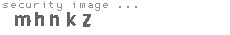 security image
