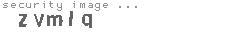 security image