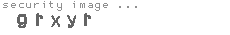 security image