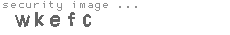 security image
