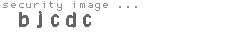 security image