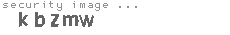 security image