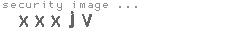 security image