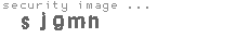 security image