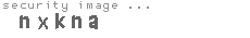 security image