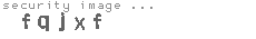 security image