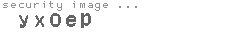 security image