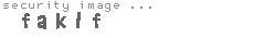 security image