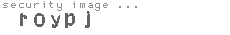 security image