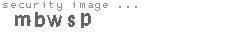 security image