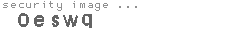 security image